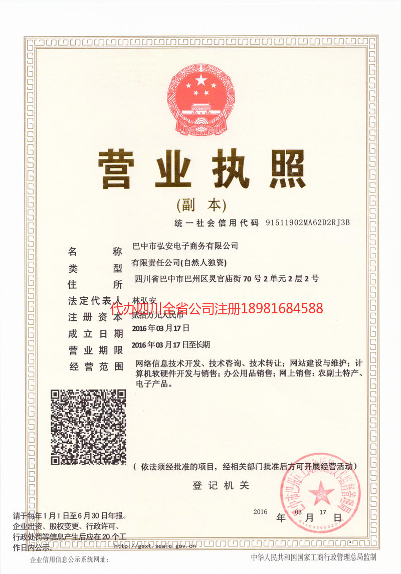 洮南洮南宏安电子商务有限公司