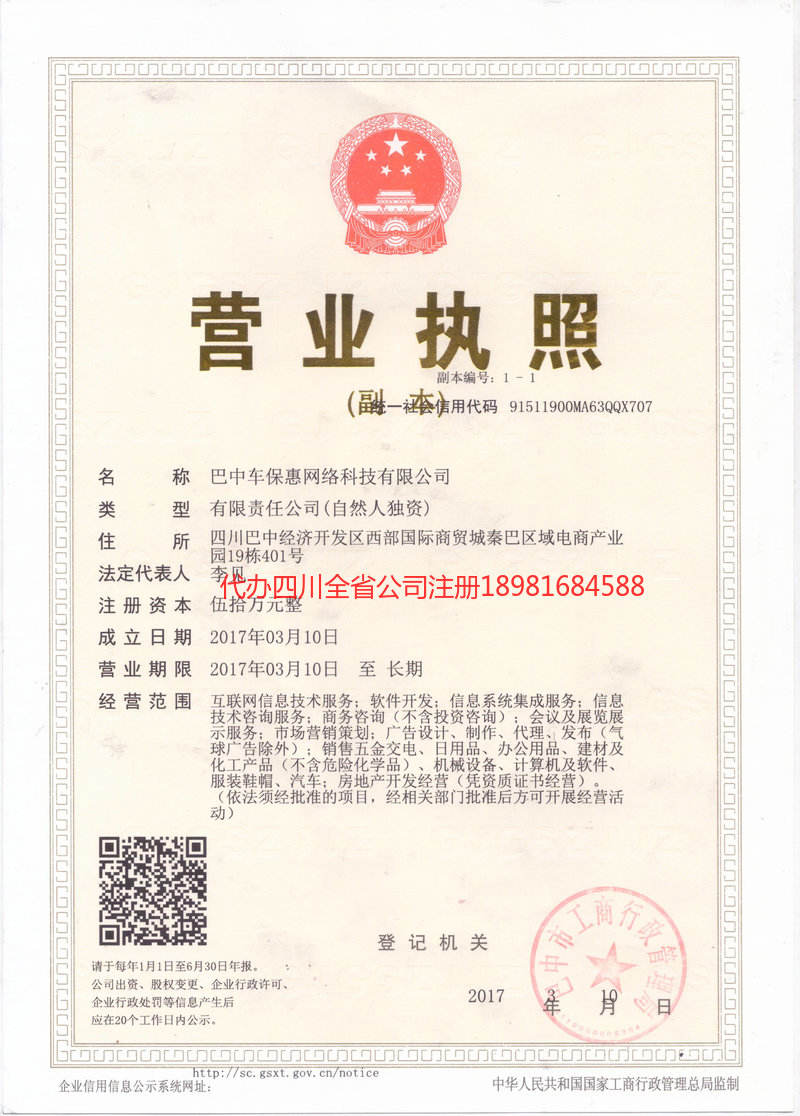 洮南洮南车保惠网络科技有限公司
